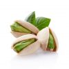 Plants pistachiers Mateur
