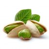 Plants pistachiers Mateur